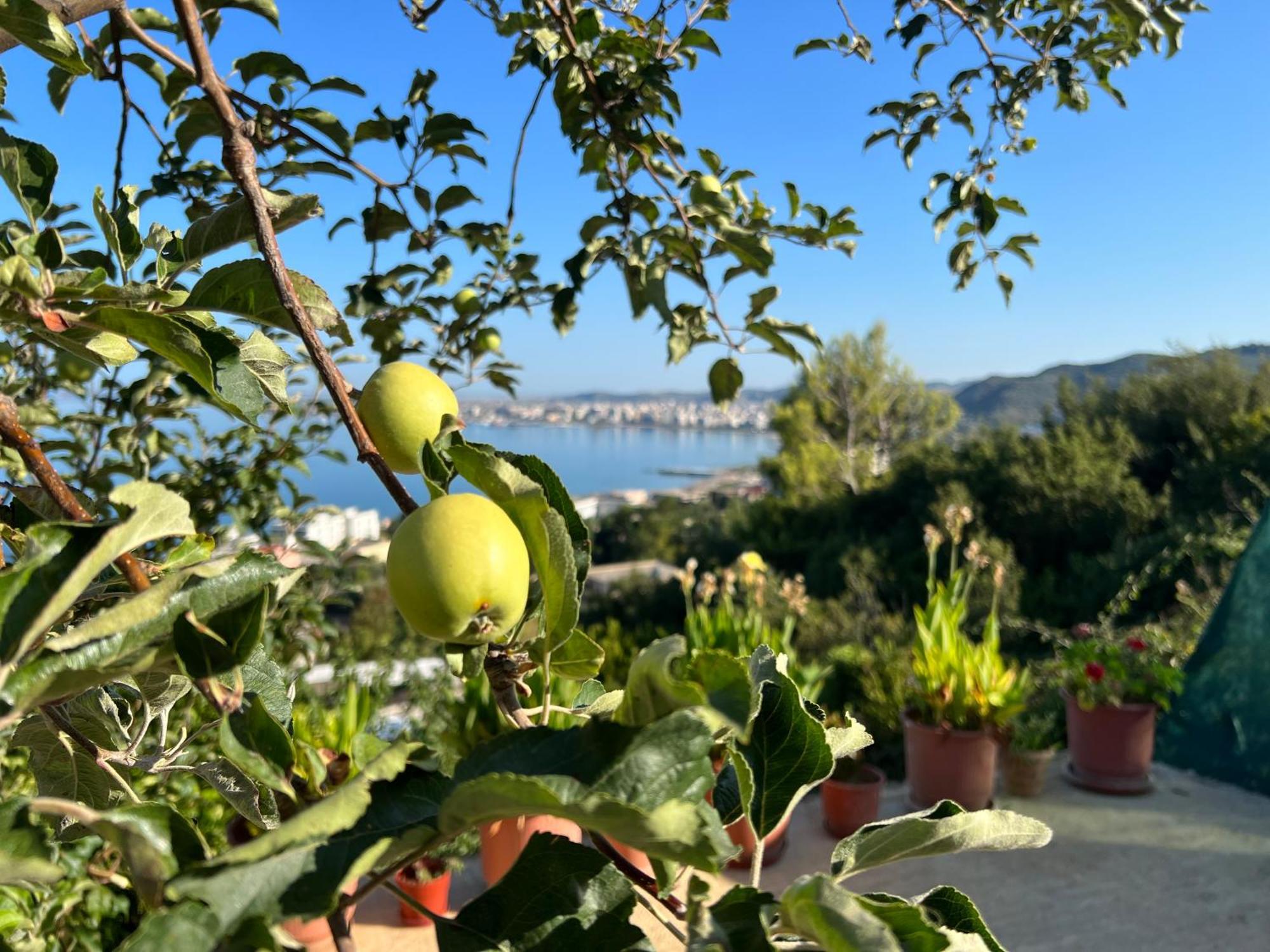 Markev Apartments Vlorë Esterno foto